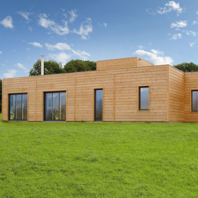 Contemporary Log House Colin 1